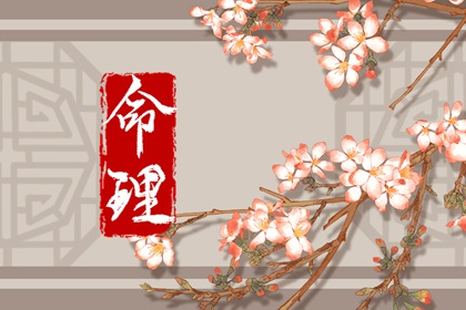 火土金取名 宝宝取名查询 测五行取名 儿童取名大全 取名测分打分